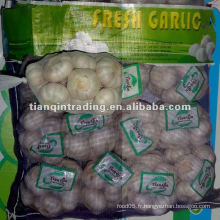 Ail blanc normal 500g en sac en maille 10kg